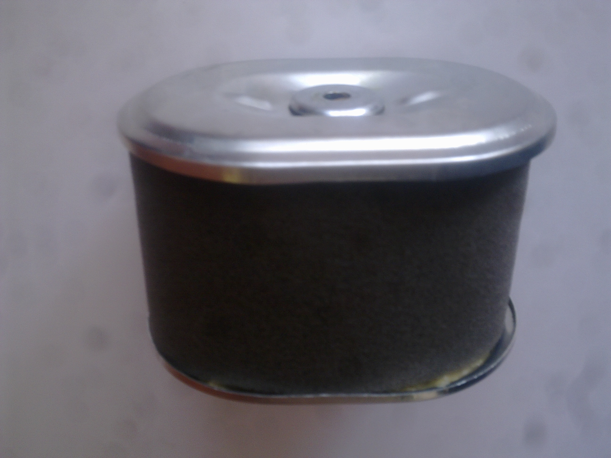 Filtr pro motor G270F (RP160HP, 160HPC, RP300HPC)